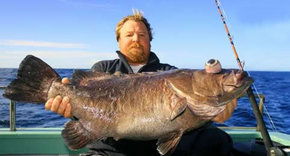 Bravo Fishing Charters - Accommodation Australia 0