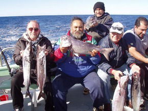 Bravo Fishing Charters - Accommodation Australia 1