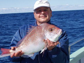 Bravo Fishing Charters - Accommodation Australia 3
