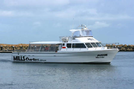 Mills Charters Fishing And Whale Watch Cruises - Accommodation Australia 1