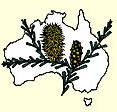 Australian National Botanic Gardens - Accommodation Australia