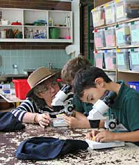 Australian National Botanic Gardens - Accommodation Australia 2