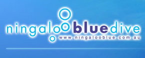 Ningaloo Blue Dive - Accommodation Australia 0