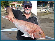 Odyssey Charters - Australia Shopping 1