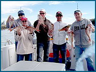 Odyssey Charters - Australia Shopping 2