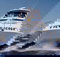 Sunshine Coast Fishing Charters - Local Tourism