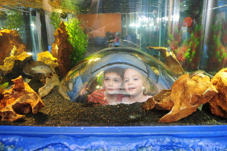 Scitech - Local Tourism 3
