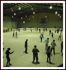 Bendigo Ice Stadium - Local Tourism 1