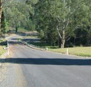 Mirimbah Picnic Ground - Local Tourism