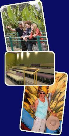 Big Banana - Accommodation Australia 2