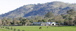 Blue Gum Farm - Accommodation Australia 1