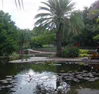 Brisbane City Botanic Gardens - Local Tourism