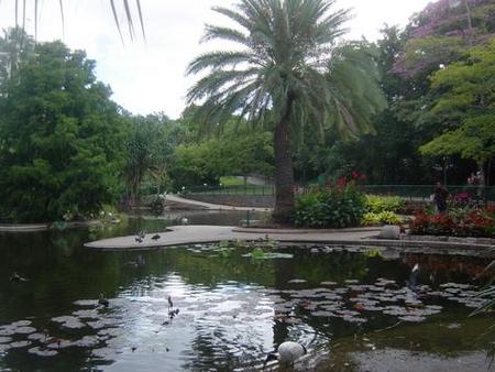 Brisbane City Botanic Gardens - Australia Shopping 0