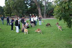 Caversham Wildlife Park - Accommodation Australia 2