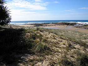  Local Tourism