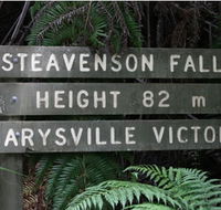 Stevensons Falls - Local Tourism