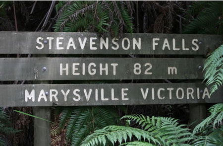 Stevensons Falls - Local Tourism 0