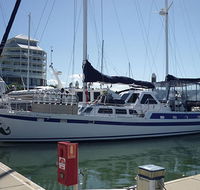 Coral Sea Dreaming Dive and Sail - Accommodation Australia