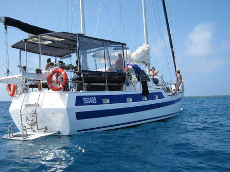 Coral Sea Dreaming Dive And Sail - Accommodation Australia 3
