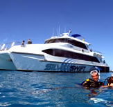 Silver Swift - Accommodation Australia