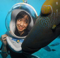 Sunlover Reef Cruises - Accommodation Australia
