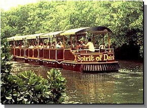 Daintree Rainforest River Trains - Accommodation Australia 0