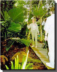 Daintree Rainforest River Trains - Accommodation Australia 1