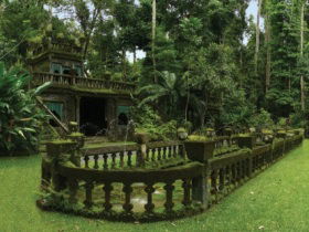 Paronella Park - Local Tourism 2