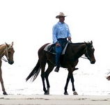 Ride the Beach - Accommodation Australia