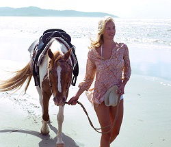 Ride The Beach - Accommodation Australia 3