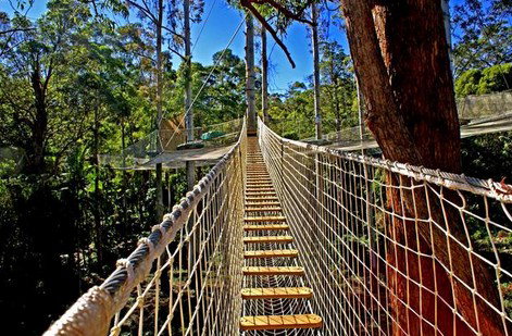 FreemanX Experience - Bed n Breakfasts 2