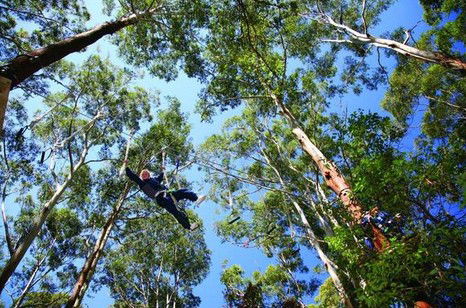 FreemanX Experience - Bed n Breakfasts 5