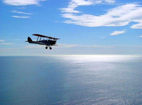Tigermoth Joy Rides - Local Tourism 2
