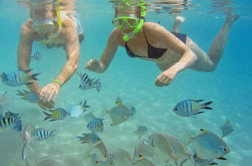 Australian Kayaking Adventures - Accommodation Australia 2