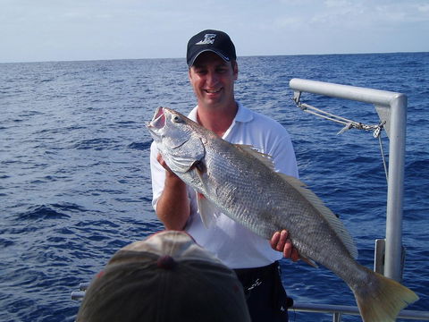 Blue Juice Charters - Accommodation Australia 1