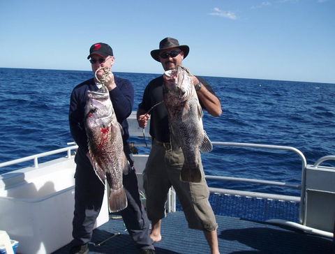 Blue Juice Charters - Accommodation Australia 2
