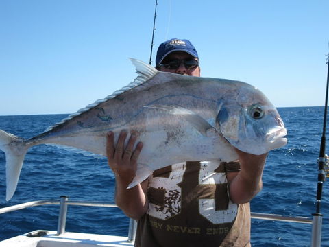 Blue Juice Charters - Accommodation Australia 4