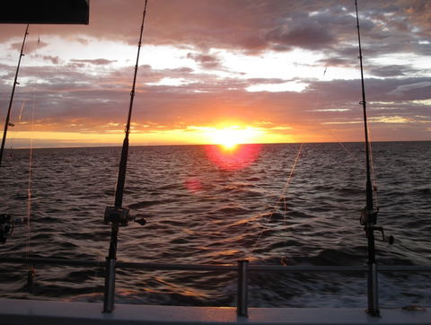Blue Juice Charters - Accommodation Australia 5