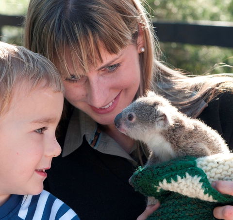 Australian Reptile Park - Accommodation Australia 1