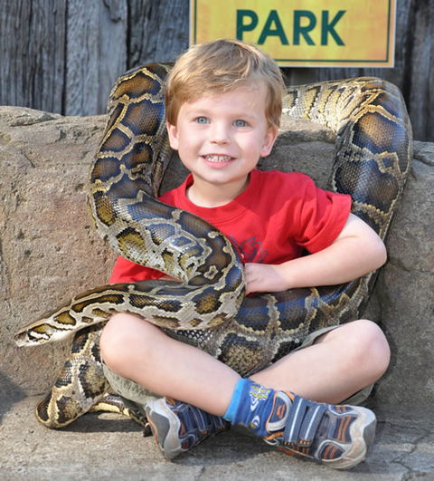Australian Reptile Park - Accommodation Australia 3