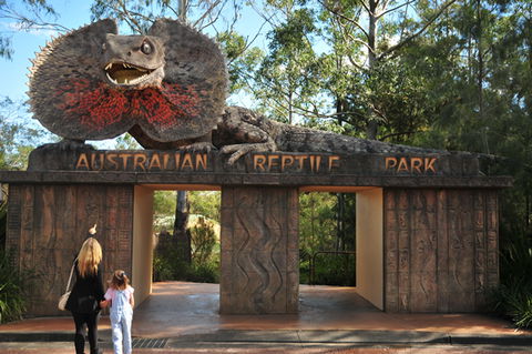 Australian Reptile Park - Accommodation Australia 5