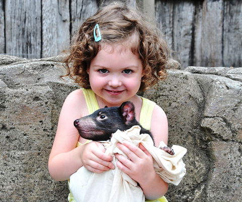Australian Reptile Park - Accommodation Australia 8