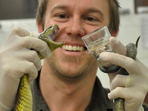 Australian Reptile Park - Accommodation Australia 9