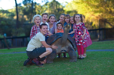 Australian Reptile Park - Accommodation Australia 11