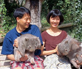 Birdland Animal Park - Australia Shopping 5