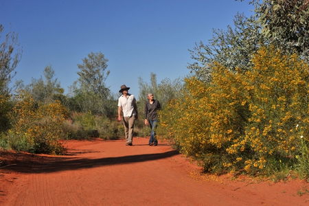 Alice Springs Desert Park - Accommodation Australia 3