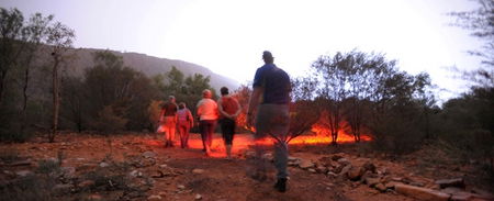 Alice Springs Desert Park - Accommodation Australia 4