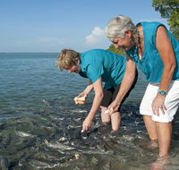 Aquascene Fish Feeding Sanctuary - Local Tourism