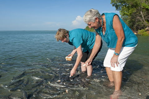 Aquascene Fish Feeding Sanctuary - Accommodation Australia 0