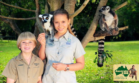 Australia Zoo - Accommodation Australia 2